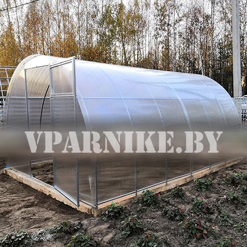 Позитив Сила