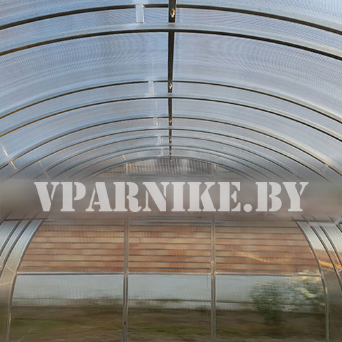 Агросила Тандем